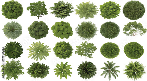 Top view green trees set, realistic tree foliage collection, landscape planning clipart, botanical garden elements, aerial plant design illustrations
