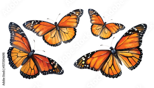 Four monarch butterflies fluttering in a group isolated on transparent background