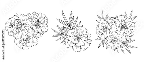Marigold bouquets with tropical leaves clipart vector illustration. Monochrome blooming flowers black ink sketch for Diwali beauty packaging, Mexica festive decoration, and ayurvedic product design
