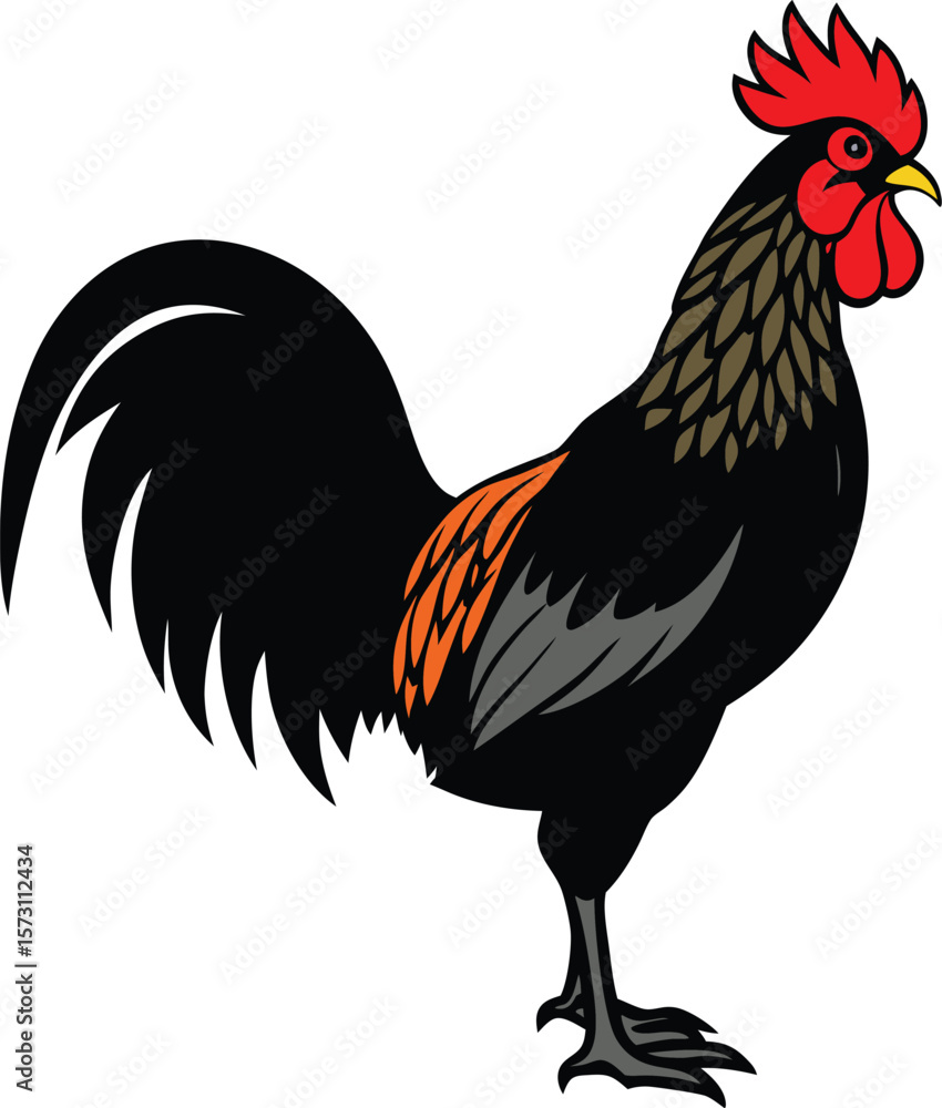 Fototapeta premium Majestic Black Rooster Illustration with Orange Accents
