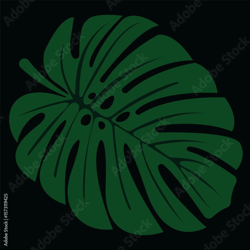 The leaf is embossed green on a dark background. Tropical botany vector hand drawing.
