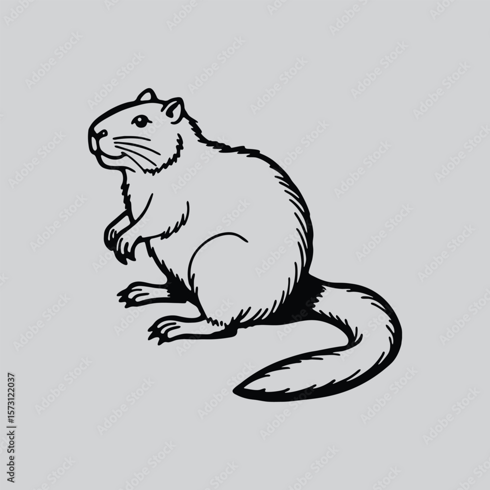 Fototapeta premium Groundhog Standing Pose Outline