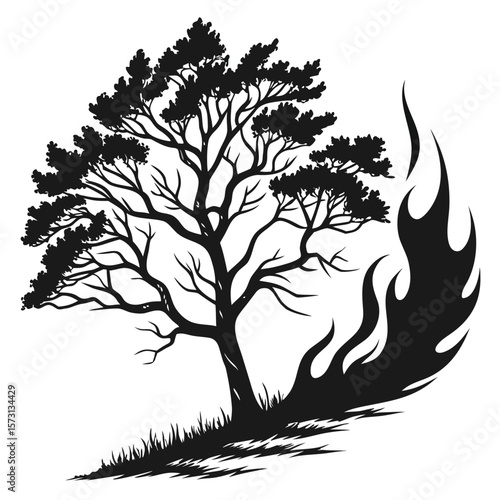 Forest Fire Threatens Majestic Pine Tree Natural Landscape Danger