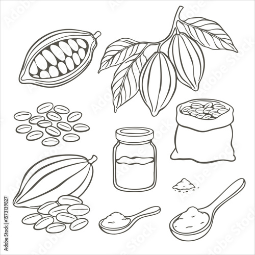 A collection of hand-drawn cacao and chocolate-themed illustrations. Outline elements, ideal for food illustrations, packaging design, or educational materials.