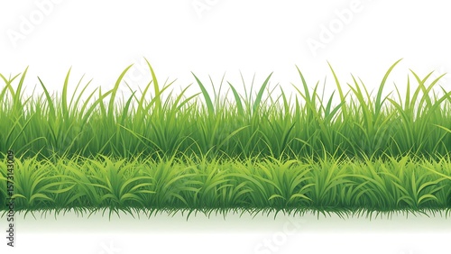 grass on white background,lawn, meadow, white, growth, fresh, green, garden, environment, season, color, sky, leaf, easter