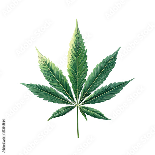 cannabis leaf isolated