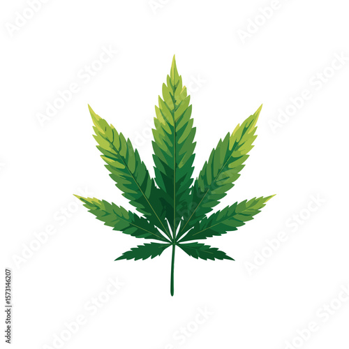 cannabis leaf isolated