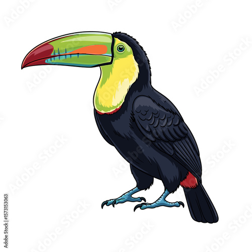 A vibrant illustration of a toucan bird, showcasing its colorful beak and plumage.