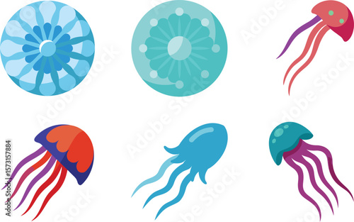 Moon Jellyfish