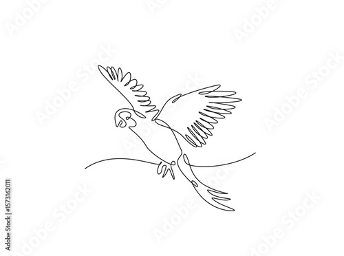 Flying parrot bird in single outline illustration. Continuous line art drawing of cockatoo bird.