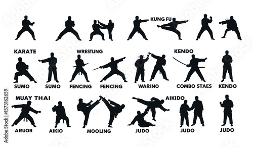 Dynamic Martial Arts Silhouettes A Comprehensive Collection of Combat Sports and Self-Defense Techniques, Featuring Fighters in Action Poses