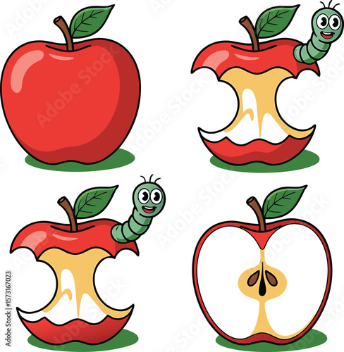 vector illustration of an apple