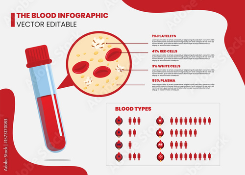 Red blood cells infographic. hemoglobin, human body anatomy. Medicine hematology infographic with info titles, realistic microscopic blood cells flow in vessel of cardiac system bloodstream