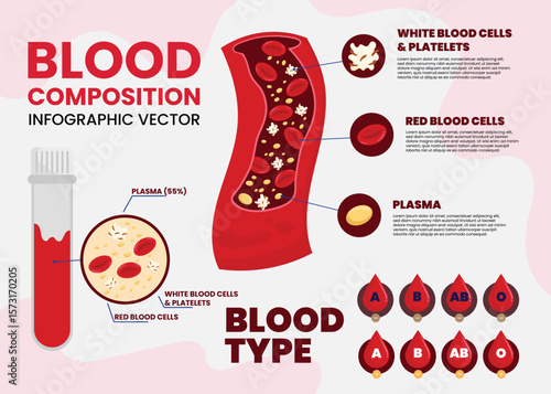 Red blood cells infographic. hemoglobin, human body anatomy. Medicine hematology infographic with info titles, realistic microscopic blood cells flow in vessel of cardiac system bloodstream
