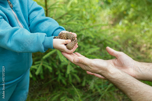 The boy shows the pine cones collected in the forest to his dad. Childhood moments. Nature.