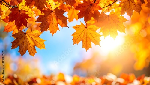 Autumn leaves against a vibrant blue sky