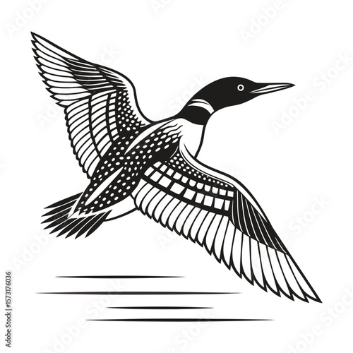 Majestic Loon in Flight Bird Art Print Wildlife