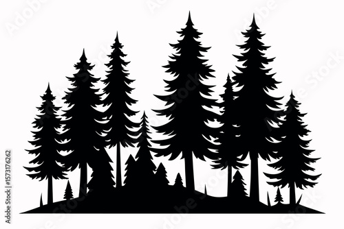 Evergreen Tree Silhouettes – Forest Landscape Vector with Pine, Fir, and Spruce Trees