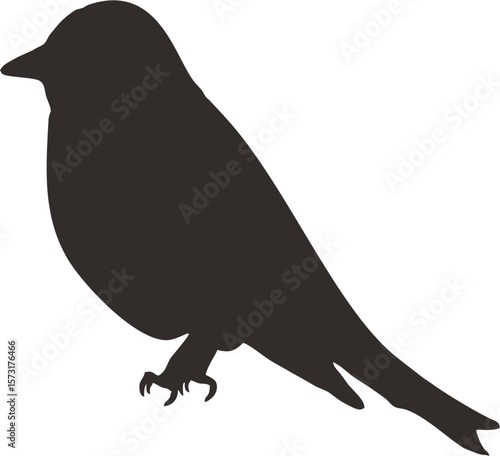bird8.eps