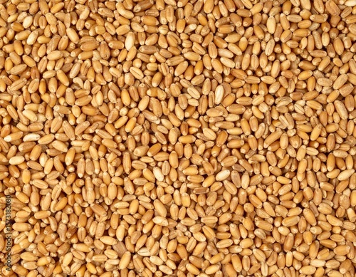 Flatlay closeup of a pile of wheat grain as background.