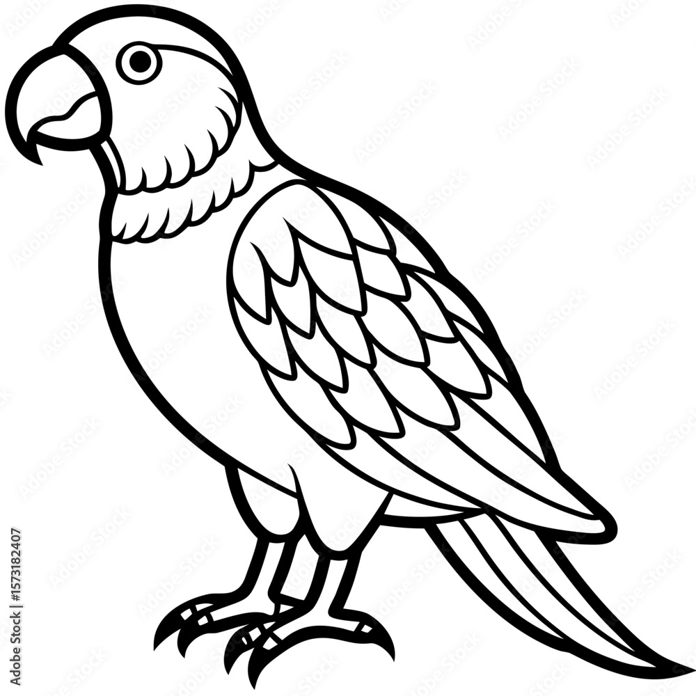 Fototapeta premium A detailed black and white line drawing of a standing parrot silhouette