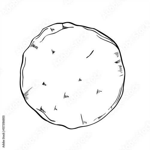 Vector round flatbread, tortilla, pita or pizza base line art ink illustration. Traditional food in many countries monochrome graphic sketch for food packaging, ethnic cuisine, restaurant menu