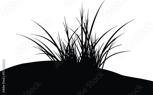 grass tuft in sand dune silhouette dune grasses