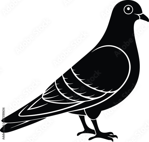 Urban Pigeon in Natural Light – Realistic Bird Photography with Feathers and Detail