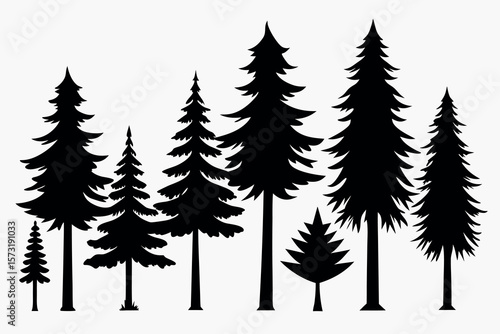 Black Pine Tree Silhouettes – Vector Set of Isolated Evergreen Trees on White Background