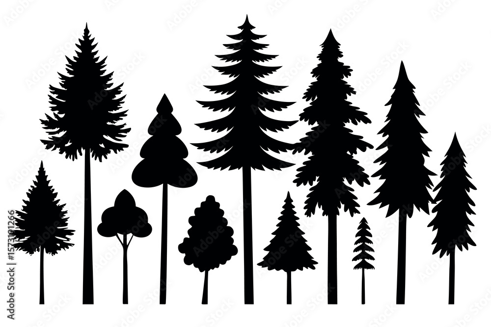 Obraz premium Black Pine Tree Silhouettes – Vector Set of Isolated Evergreen Trees on White Background