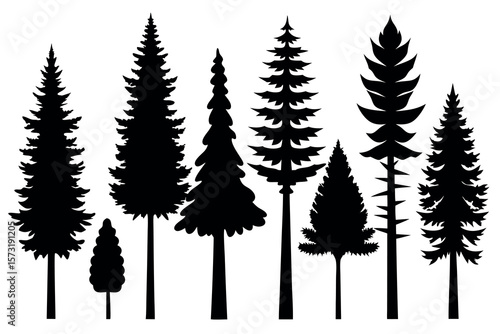 Black Pine Tree Silhouettes – Vector Set of Isolated Evergreen Trees on White Background