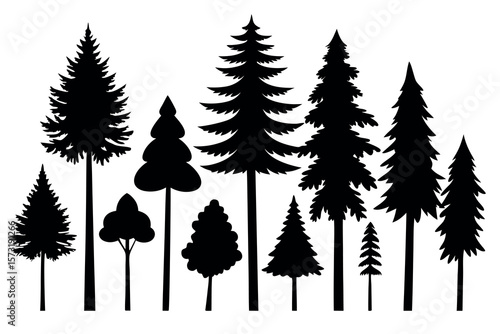 Black Pine Tree Silhouettes – Vector Set of Isolated Evergreen Trees on White Background