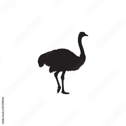 Ostrich Silhouette