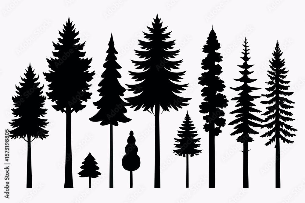 Fototapeta premium Silhouettes of Evergreen Forest Trees – Pine, Fir, and Spruce Vector Set