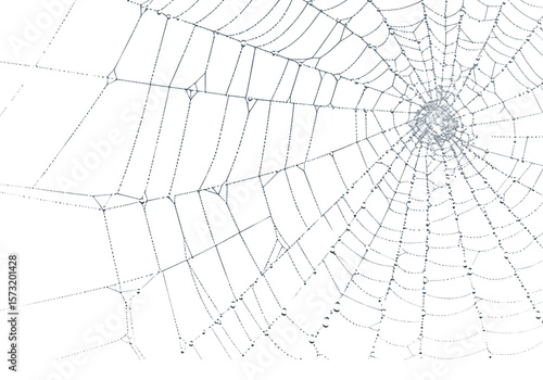 A striking spiderweb glistens with delicate water droplets against a stark black backdrop, evoking nature's intricate design, transparent background