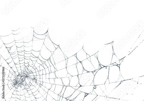Cuadro en lienzo A delicate spiderweb glistens against a dark backdrop, creating an eerie, Hallow