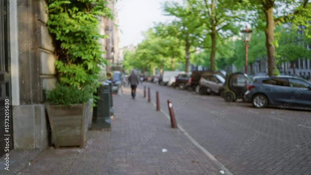 Blurry urban scene in amsterdam featuring a man walking along a tree-lined cobblestone street under bright sunlight. Blurry urban scene in amsterdam featuring a man walking along a tree-lined cobblestone street under bright sunlight.