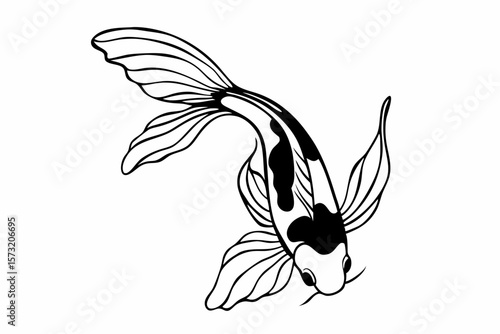 Black and white koi fish swimming gracefully outline fins