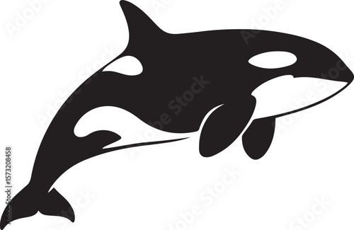 Orca silhouette on white background, Killer whale vector ocean animal