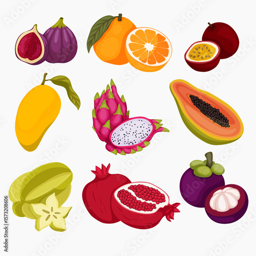A colorful set of exotic tropical fruits in a flat cartoon style. Includes figs, oranges, passion fruit, mango, dragon fruit, papaya, starfruit, pomegranate, and mangosteen. Perfect for food packaging