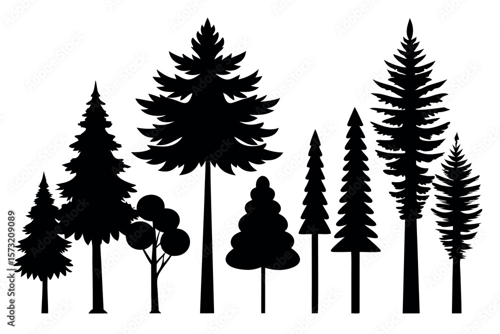 Fototapeta premium Forest Trees Silhouette Collection – Pine and Fir Evergreen Vector on White Background