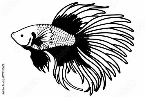 Betta fish silhouette with flowing fins Siamese fighting fish aquatic