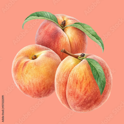 Three ripe peaches with green leaves are shown on a light peach background giving the image a fresh aesthetic.