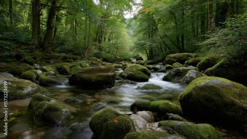 Wallpaper Mural Lush forest landscape with flowing stream, vibrant greenery, and moss covered rocks creates serene atmosphere of tranquility Torontodigital.ca