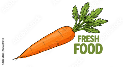 Healthy vibrant carrot illustration with fresh food message for organic market promotion materials