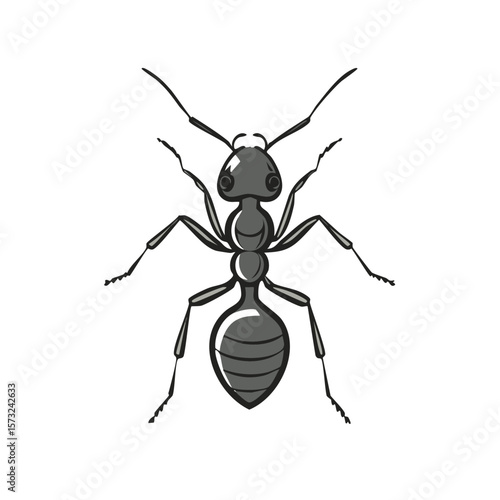 Ant Illustration of an Insect with Six Legs Antennae and Exoskeleton
