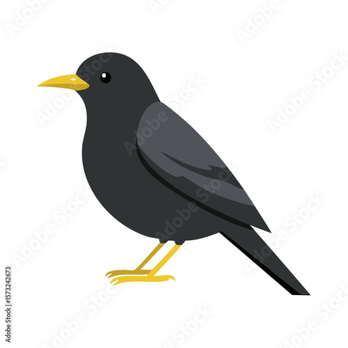 Cartoon illustration of a black bird with a yellow beak standing on a white background