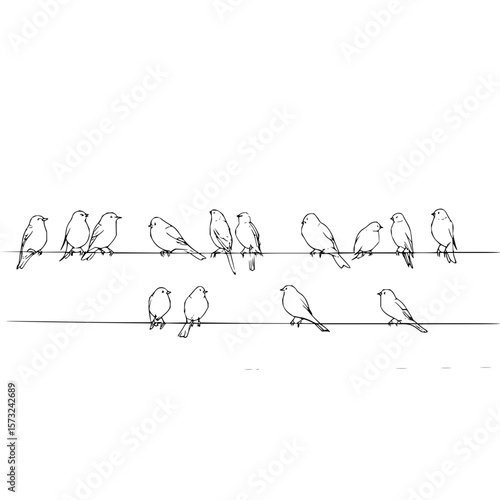 Illustration of a group of birds perched on two wires against a white background in black and white