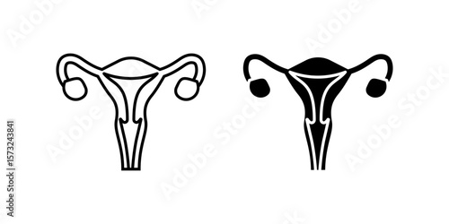 Uterus icon set. Clean and modern icon set of a uterus anatomy. These designs feature a simple outline and filled glyph style. Ideal for medical, educational, or health related projects.