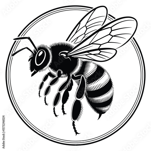 Detailed black and white bee illustration within a circular frame silhouette
